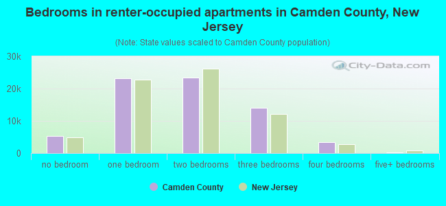 Bedrooms in renter-occupied apartments in Camden County, New Jersey