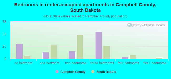 Bedrooms in renter-occupied apartments in Campbell County, South Dakota