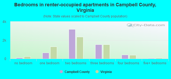 Bedrooms in renter-occupied apartments in Campbell County, Virginia