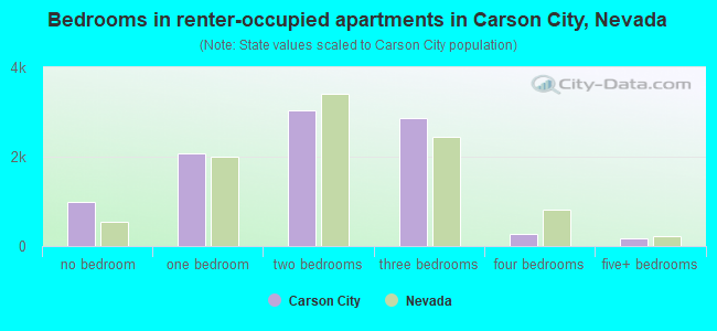 Bedrooms in renter-occupied apartments in Carson City, Nevada