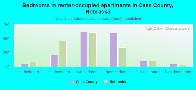 Bedrooms in renter-occupied apartments in Cass County, Nebraska