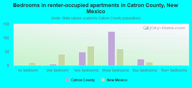 Bedrooms in renter-occupied apartments in Catron County, New Mexico