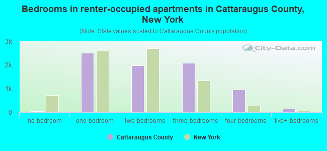 Bedrooms in renter-occupied apartments in Cattaraugus County, New York