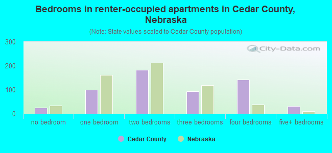Bedrooms in renter-occupied apartments in Cedar County, Nebraska