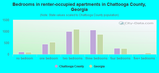 Bedrooms in renter-occupied apartments in Chattooga County, Georgia