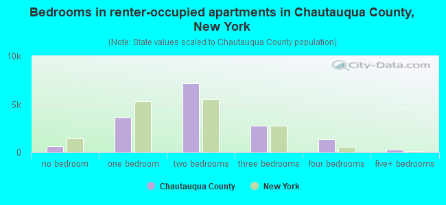 Bedrooms in renter-occupied apartments in Chautauqua County, New York