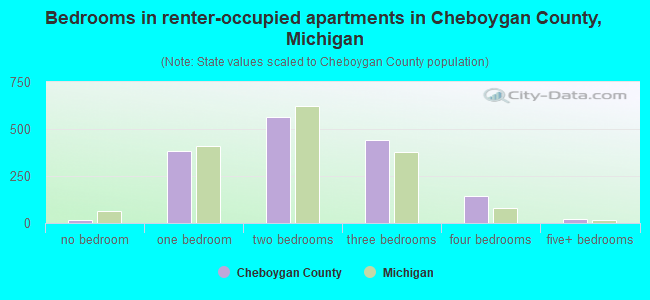 Bedrooms in renter-occupied apartments in Cheboygan County, Michigan
