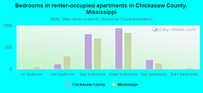 Bedrooms in renter-occupied apartments in Chickasaw County, Mississippi