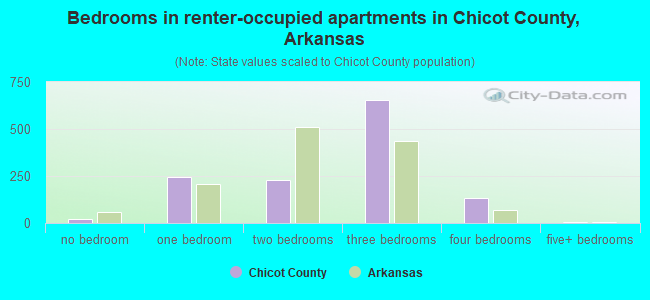 Bedrooms in renter-occupied apartments in Chicot County, Arkansas