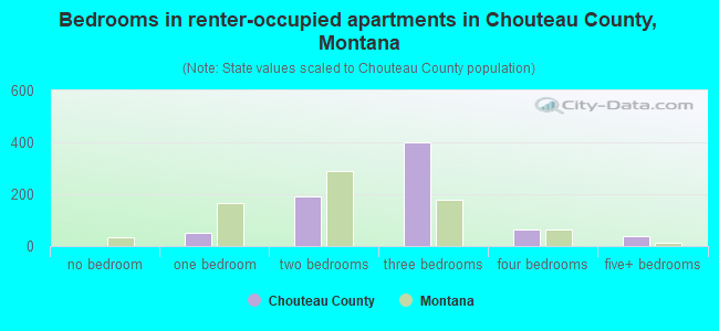Bedrooms in renter-occupied apartments in Chouteau County, Montana