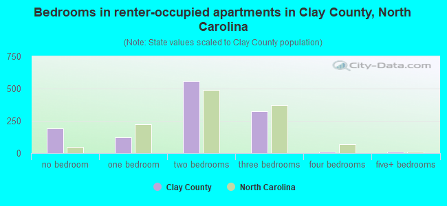 Bedrooms in renter-occupied apartments in Clay County, North Carolina