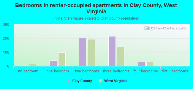 Bedrooms in renter-occupied apartments in Clay County, West Virginia