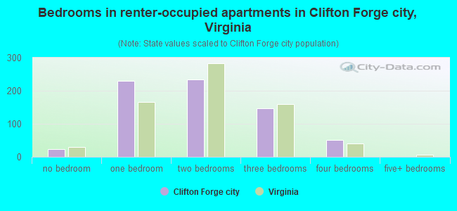Bedrooms in renter-occupied apartments in Clifton Forge city, Virginia