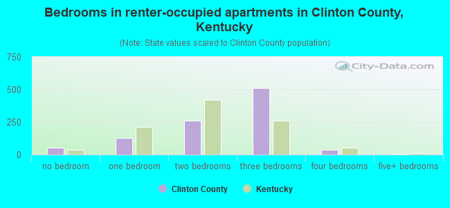 Bedrooms in renter-occupied apartments in Clinton County, Kentucky