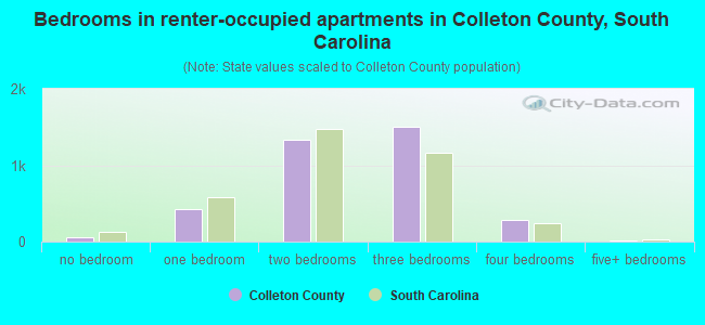 Bedrooms in renter-occupied apartments in Colleton County, South Carolina