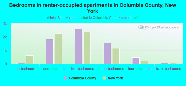 Bedrooms in renter-occupied apartments in Columbia County, New York