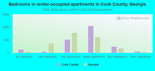 Bedrooms in renter-occupied apartments in Cook County, Georgia