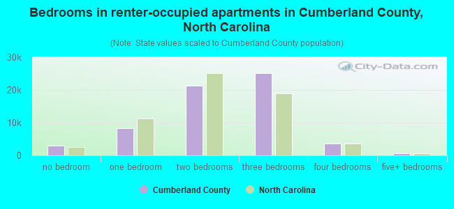 Bedrooms in renter-occupied apartments in Cumberland County, North Carolina