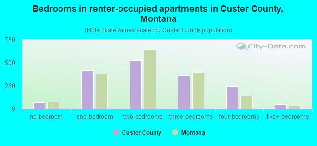 Bedrooms in renter-occupied apartments in Custer County, Montana