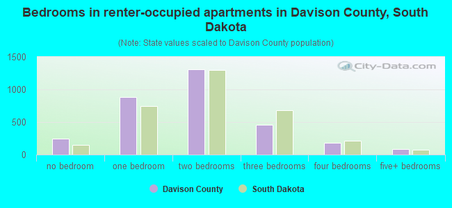 Bedrooms in renter-occupied apartments in Davison County, South Dakota