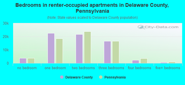 Bedrooms in renter-occupied apartments in Delaware County, Pennsylvania