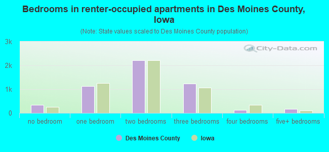 Bedrooms in renter-occupied apartments in Des Moines County, Iowa
