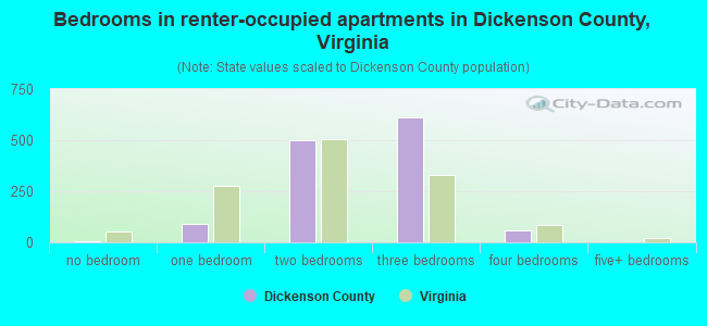 Bedrooms in renter-occupied apartments in Dickenson County, Virginia