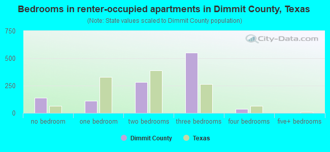 Bedrooms in renter-occupied apartments in Dimmit County, Texas