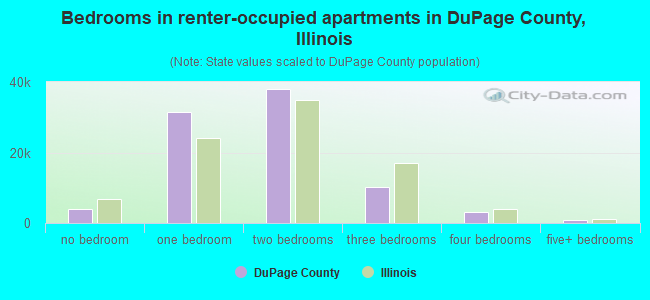 Bedrooms in renter-occupied apartments in DuPage County, Illinois