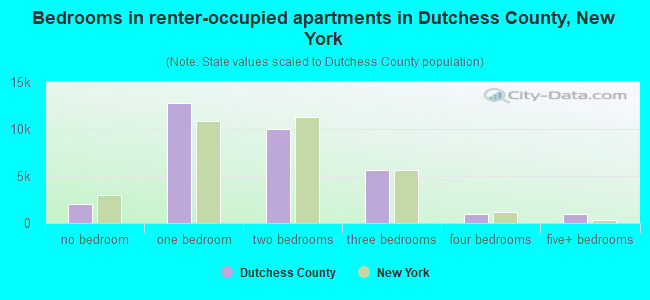 Bedrooms in renter-occupied apartments in Dutchess County, New York