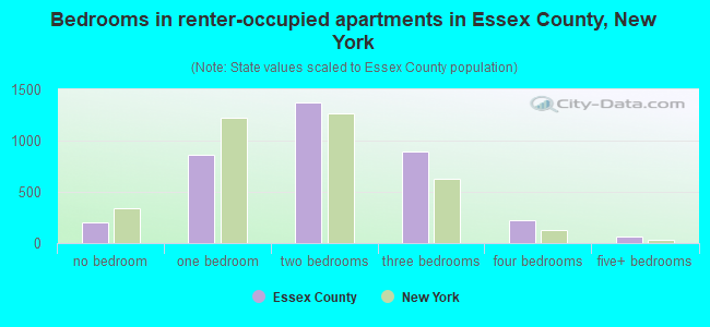 Bedrooms in renter-occupied apartments in Essex County, New York