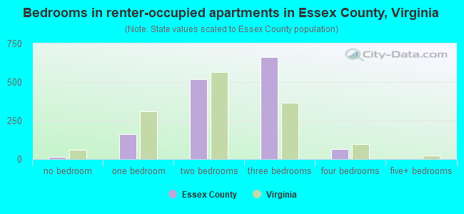 Bedrooms in renter-occupied apartments in Essex County, Virginia
