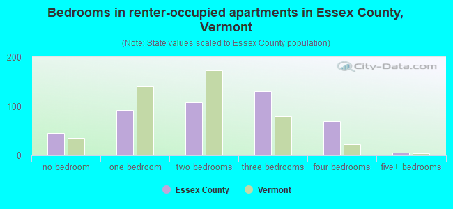 Bedrooms in renter-occupied apartments in Essex County, Vermont