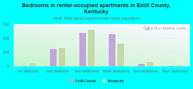 Bedrooms in renter-occupied apartments in Estill County, Kentucky