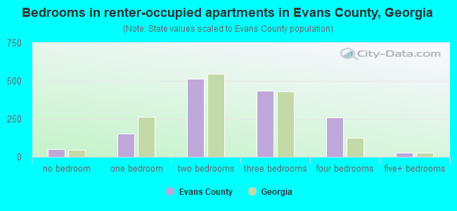 Bedrooms in renter-occupied apartments in Evans County, Georgia