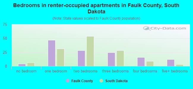 Bedrooms in renter-occupied apartments in Faulk County, South Dakota