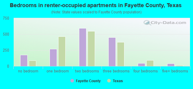 Bedrooms in renter-occupied apartments in Fayette County, Texas
