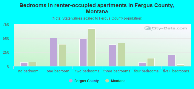 Bedrooms in renter-occupied apartments in Fergus County, Montana