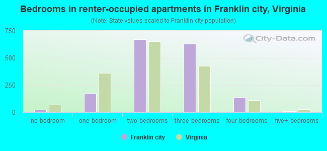 Bedrooms in renter-occupied apartments in Franklin city, Virginia