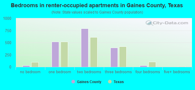 Bedrooms in renter-occupied apartments in Gaines County, Texas