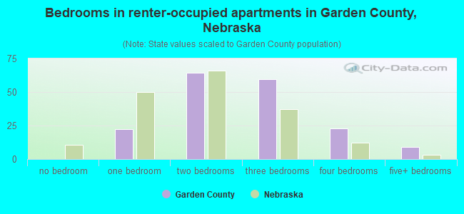 Bedrooms in renter-occupied apartments in Garden County, Nebraska