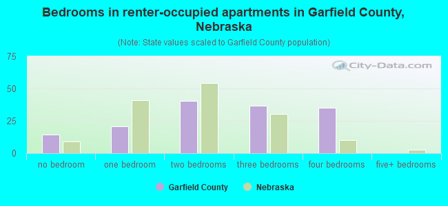 Bedrooms in renter-occupied apartments in Garfield County, Nebraska