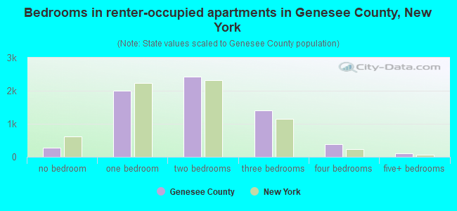 Bedrooms in renter-occupied apartments in Genesee County, New York
