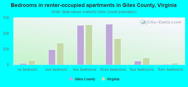 Bedrooms in renter-occupied apartments in Giles County, Virginia