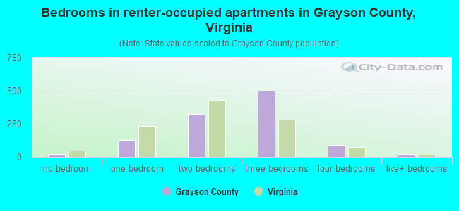 Bedrooms in renter-occupied apartments in Grayson County, Virginia