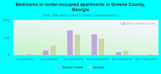 Bedrooms in renter-occupied apartments in Greene County, Georgia