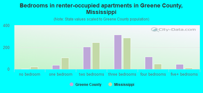 Bedrooms in renter-occupied apartments in Greene County, Mississippi