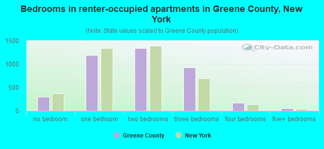 Bedrooms in renter-occupied apartments in Greene County, New York