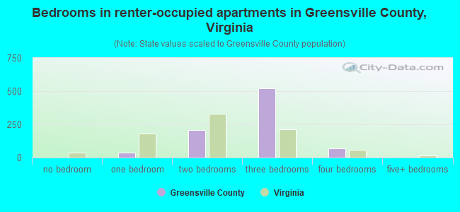 Bedrooms in renter-occupied apartments in Greensville County, Virginia