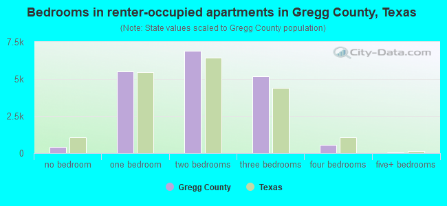Bedrooms in renter-occupied apartments in Gregg County, Texas